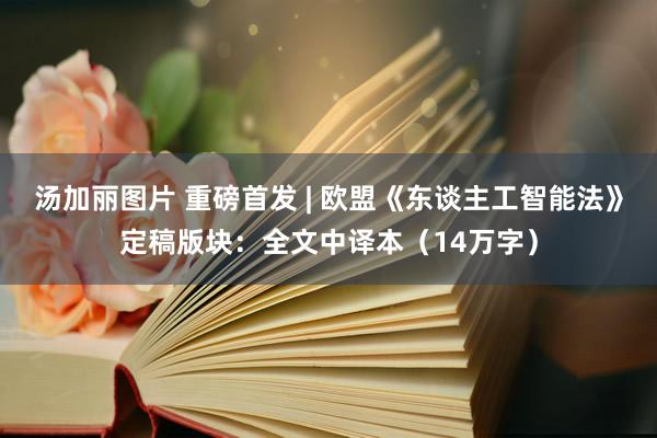 汤加丽图片 重磅首发 | 欧盟《东谈主工智能法》定稿版块：全文中译本（14万字）