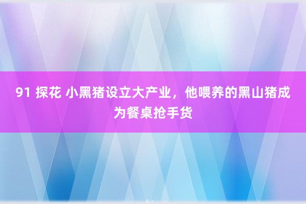 91 探花 小黑猪设立大产业，他喂养的黑山猪成为餐桌抢手货